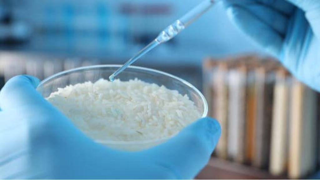 خاصية غريبة اكتشفها العلماء في الأرز تحوله إلى مادة ذكية