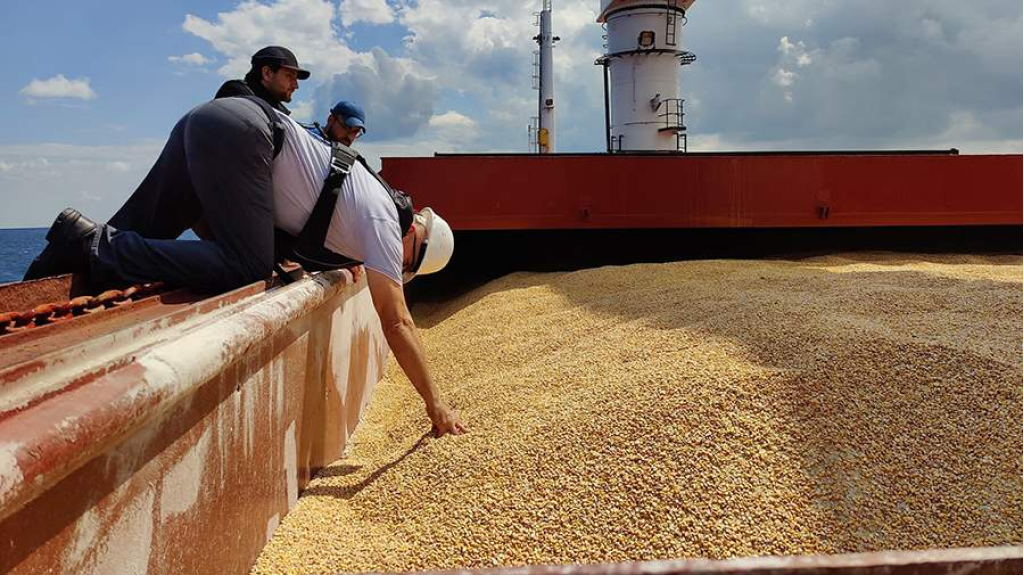 سوريا تناقش مع أوكرانيا إنشاء مرفق لإعادة تصدير المواد الغذائية