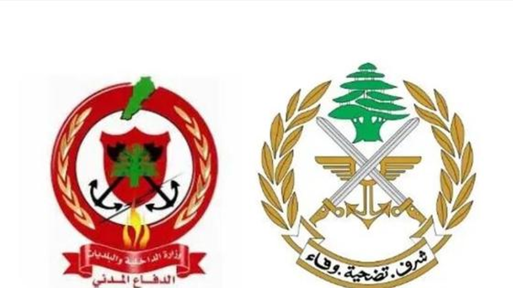 بمنشورات تحذر من مخاطر الالغام.. الدفاع المدني والجيش ينظمان عودة أهالي الجنوب