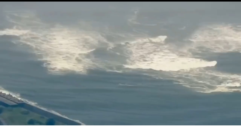 موجة أولى من تسونامي تصل إلى اليابان (فيديو)