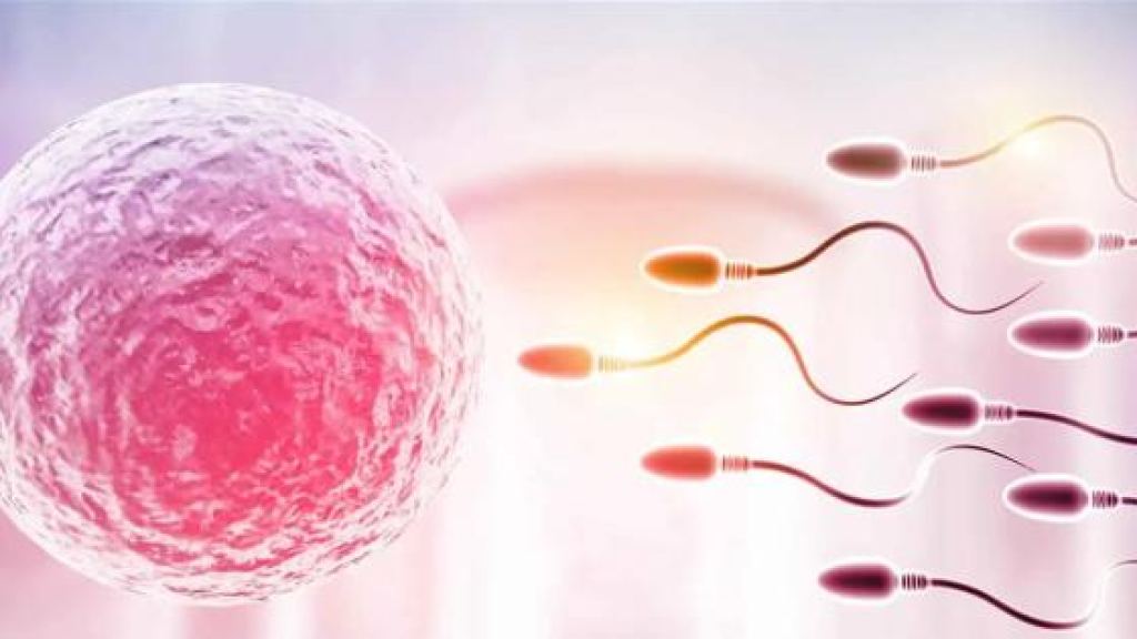 دراسة تحذر: التلوث الكيميائي يهدد خصوبة البشر والحيوانات عالمياً