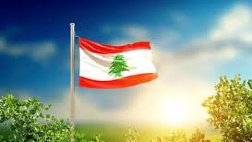 التأثير الميداني: 