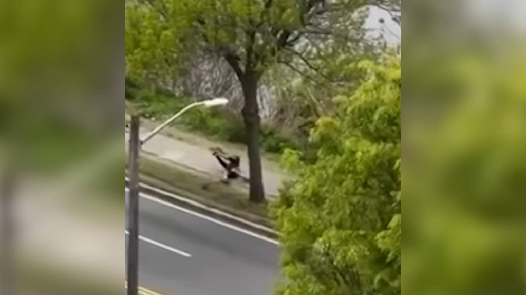 الشرطة الأمريكية تضرب طوقاً أمنياً حول هارفارد بعد حادث دموي