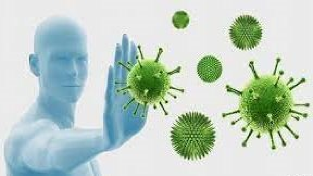 هذا النبات يطرد الميكروبات ويمنع أخطر الأمراض
