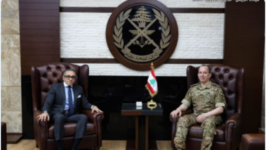 هيكل استقبل السفير المصري وبحثا آخر المستجدات في لبنان والمنطقة