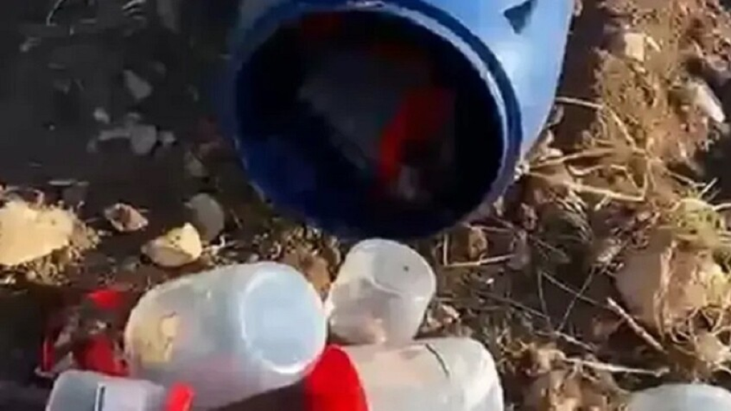 العثور على 21 جنينا بشريا في حاوية نفايات بمقبرة (فيديو)
