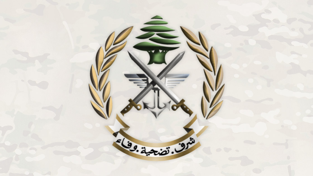 الجيش يزيل ذخائر غير منفجرة من مخلفات العدوان الإسرائيلي ويواكب أعمال الوزارات المختصة في المناطق المتضررة