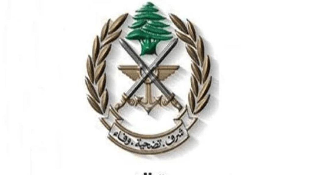 الجيش يواصل إزالة الذخائر غير المنفجرة ويفكّك ٤ قنابل طيران في النبطية وبنت جبيل