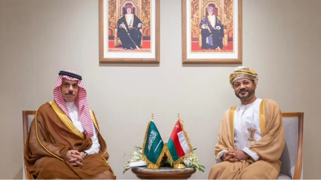 لقاء سعودي - عماني تناول تطورات هرمز وتسوية النزاعات