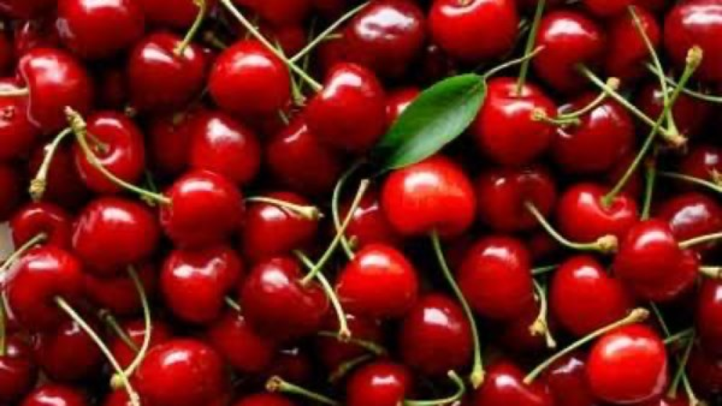 الذاكرة والمفاصل الأبرز.. 11 فائدة لجسمك عند تناول الكرز