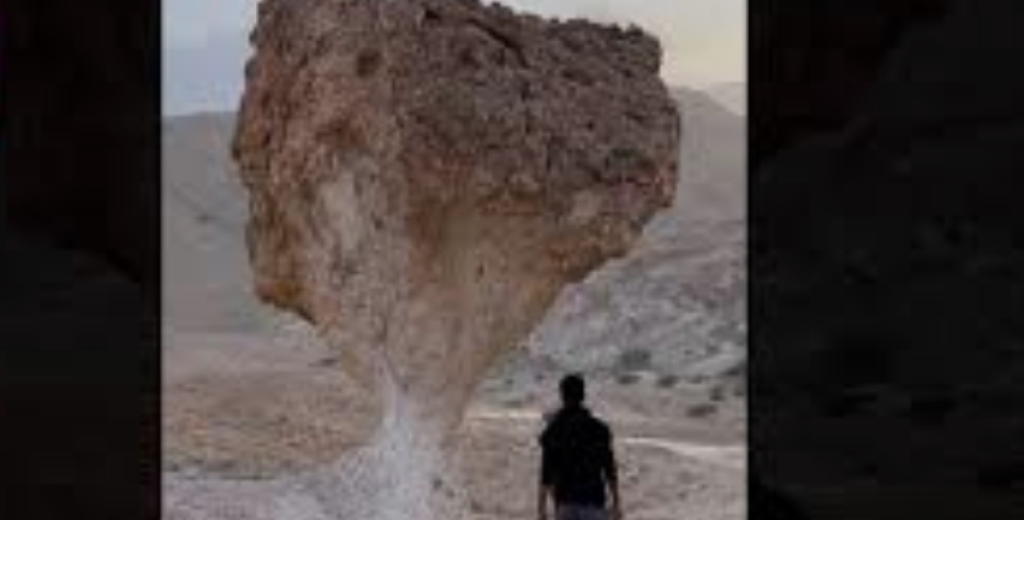 فطريات عملاقة 