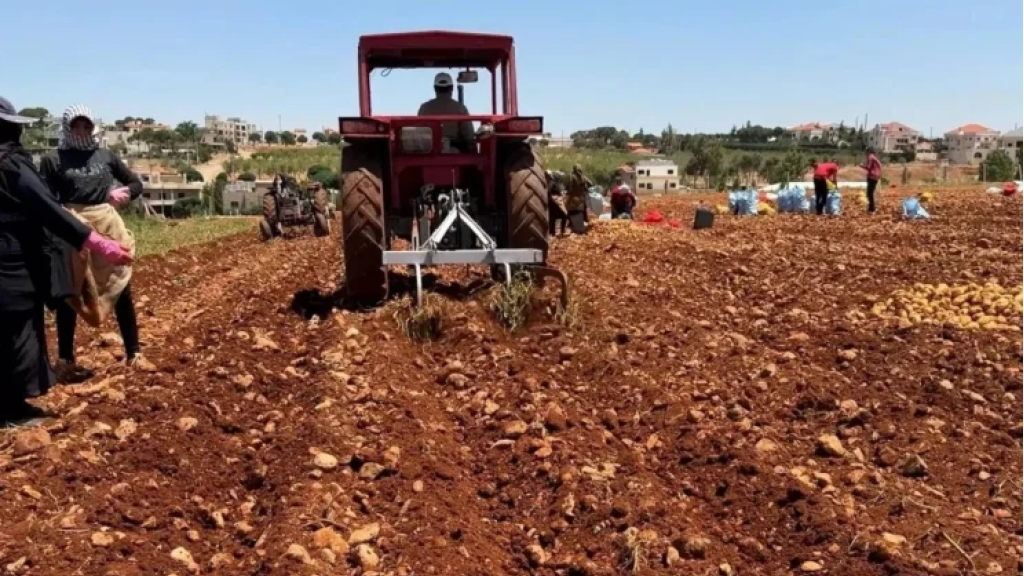 إرشادات عاجلة للمواطنين والمزارعين مع اشتداد موجة الحر