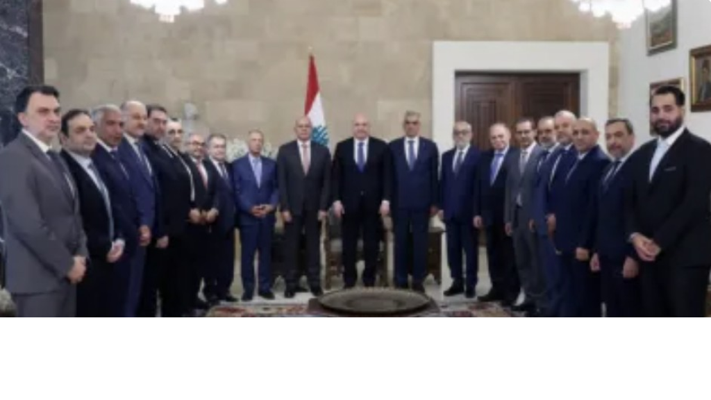 فريد البستاني، بقاء اليونيفيل في الجنوب في هذه الفترة بالذات ضروري جدّاً.