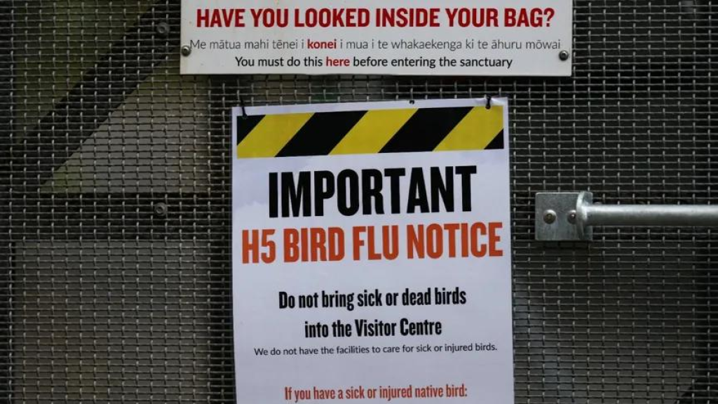 أستراليا تؤكد أول إصابة بإنفلونزا الطيور H5N1 بين الثدييات المحلية