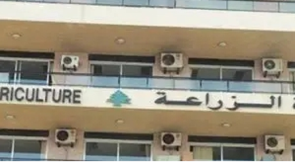 تسجيل حالات مرضيّة لدى الأبقار في القرعون… وبيانٌ توضيحيّ من وزارة الزراعة