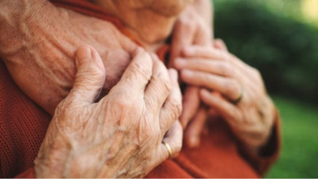 علماء يكتشفون.. الدماغ يستبدل خلاياه المناعية مع التقدم في السن