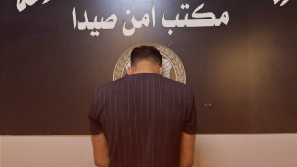 أمن الدولة: توقيف أحد المشاركين بإشكال مسلّح أدى لوقوع إصابات في بلدة طبايا