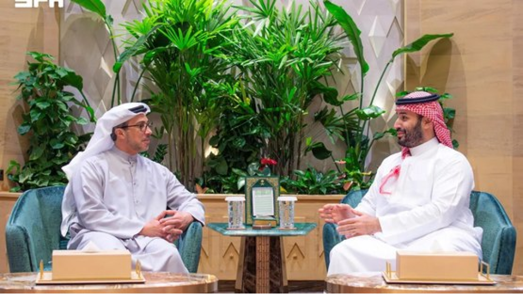 في الرياض.. ولي العهد السعودي ونائب رئيس الإمارات يبحثان تطورات المنطقة