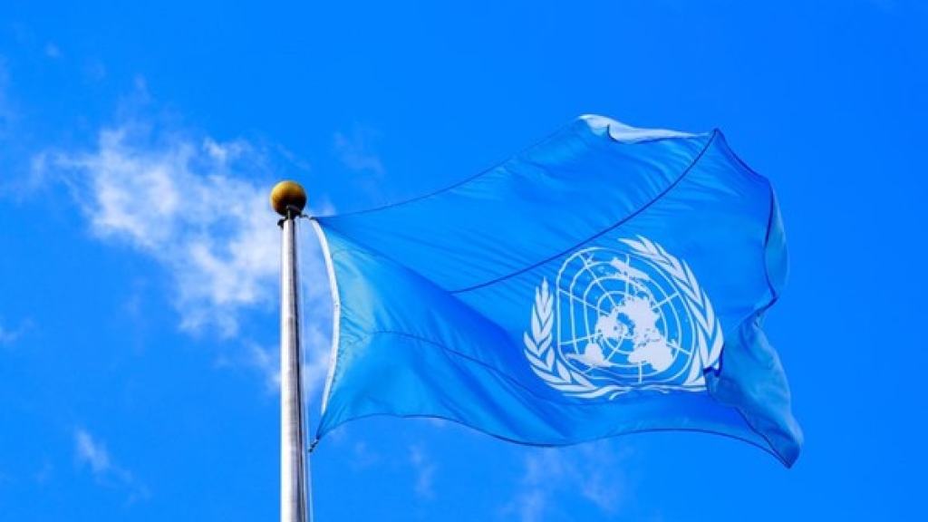 الأمم المتحدة: مقتل 109 مهاجرين على الأقل وفقدان 116 إثر غرق قارب قبالة سواحل جيبوتي 