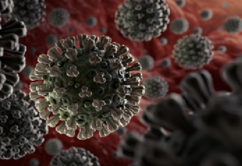 كيف يصيب فيروس كورونا الإنسان؟.. خبراء يجيبون