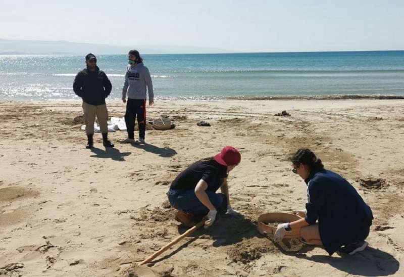 التقرير الأولي لتلوث الشواطىء بعد التسرب النفطي من إسرائيل