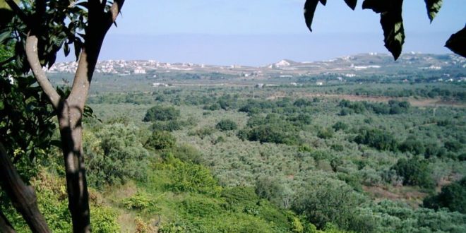 لجنة كفرحزير: استيراد الاسمنت هو الحل لاستمرار الحياة في الكورة