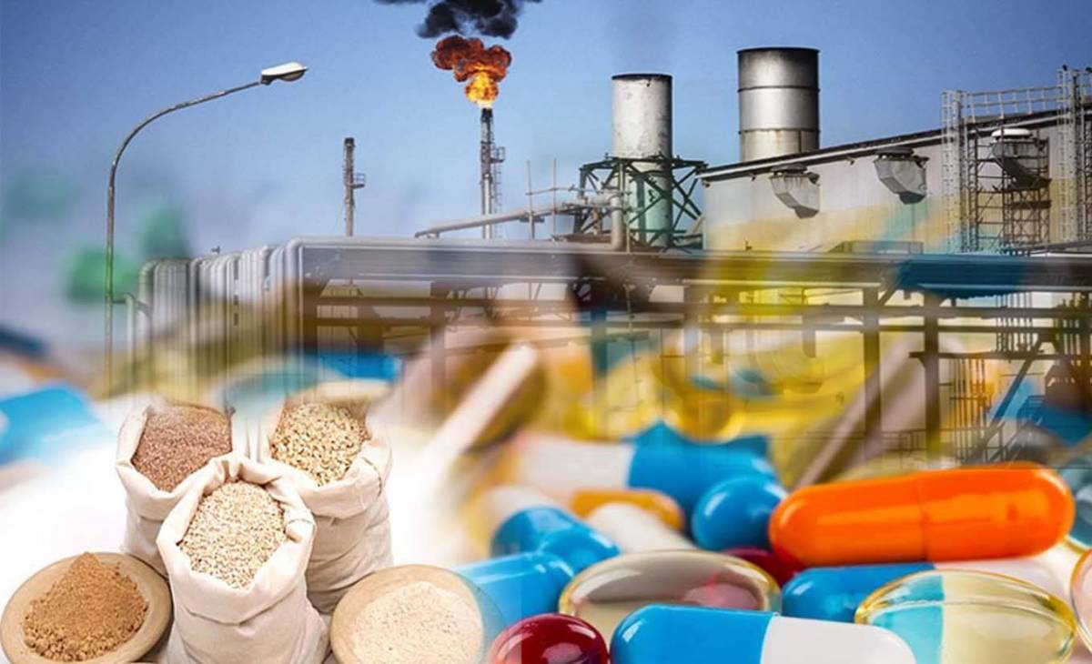 عندما تغيـب دولـة الرعاية لـصالح الشركات واصحابها من السياسيين