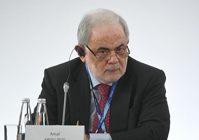أمل أبو زيد: روسيا جاهزة لمساعدة لبنان وتدعو إلى تشكيل الحكومة بأسرع وقت ممكن