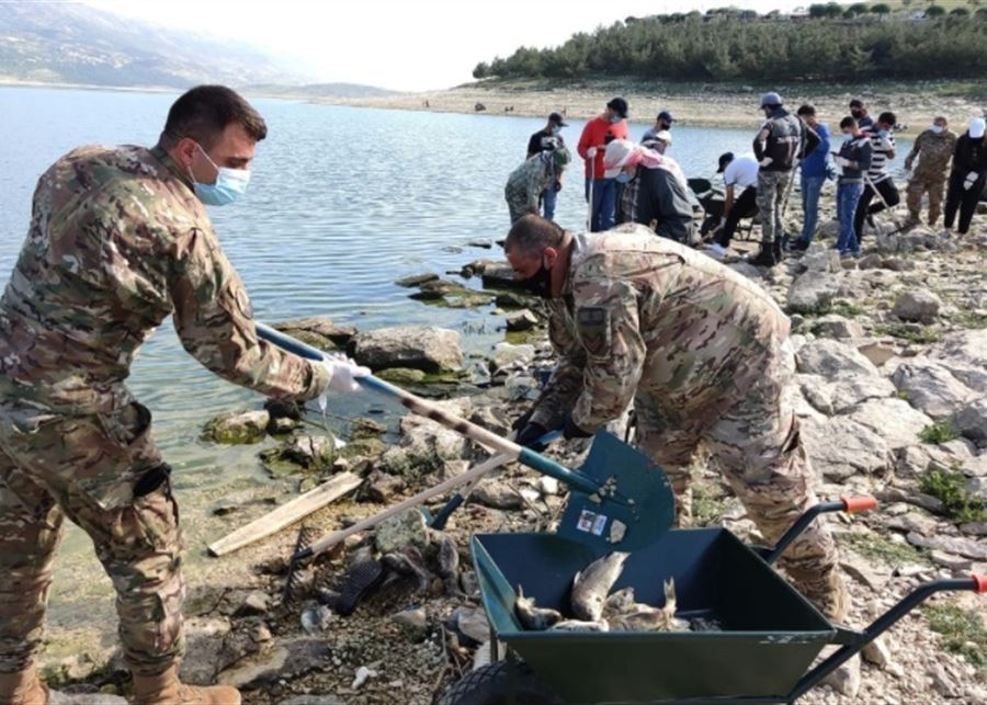 بالصور- الجيش يشارك في عملية إزالة آلاف اسماك الكارب النافقة عن ضفة بحيرة القرعون