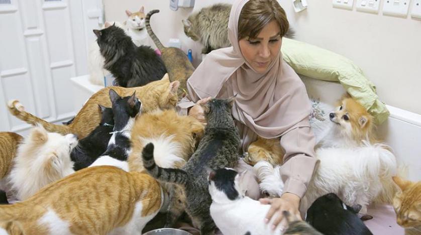 عمانية تعيش مع 500 من قطط وكلاب الشوارع
