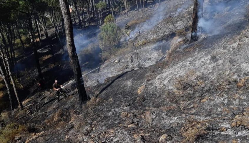 الدفاع المدني ينجح في إهماد حريق بلدات الشبانية وقبيع والخريبه بعد 18 ساعة
