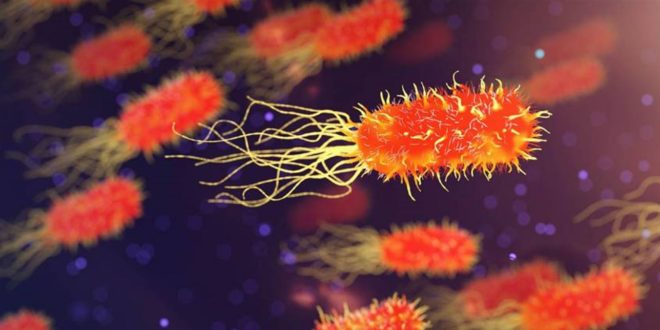 بكتيريا خارقة أسوأ من كورونا ستقضي على الملايين سنوياً!