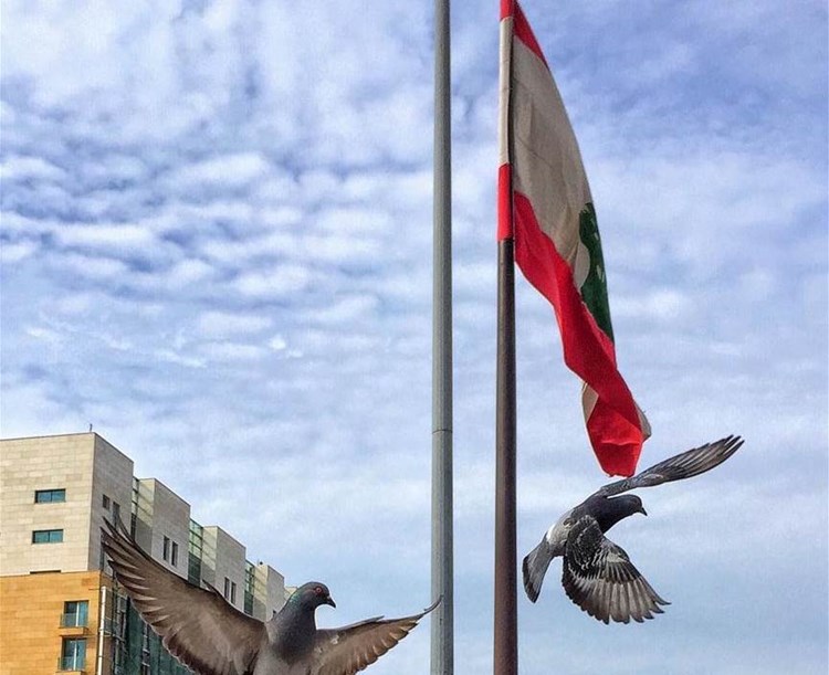 خطة من خمس نقاط وحياد... لننقذ لبنان